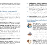 de_captainmoment_lookinside_11